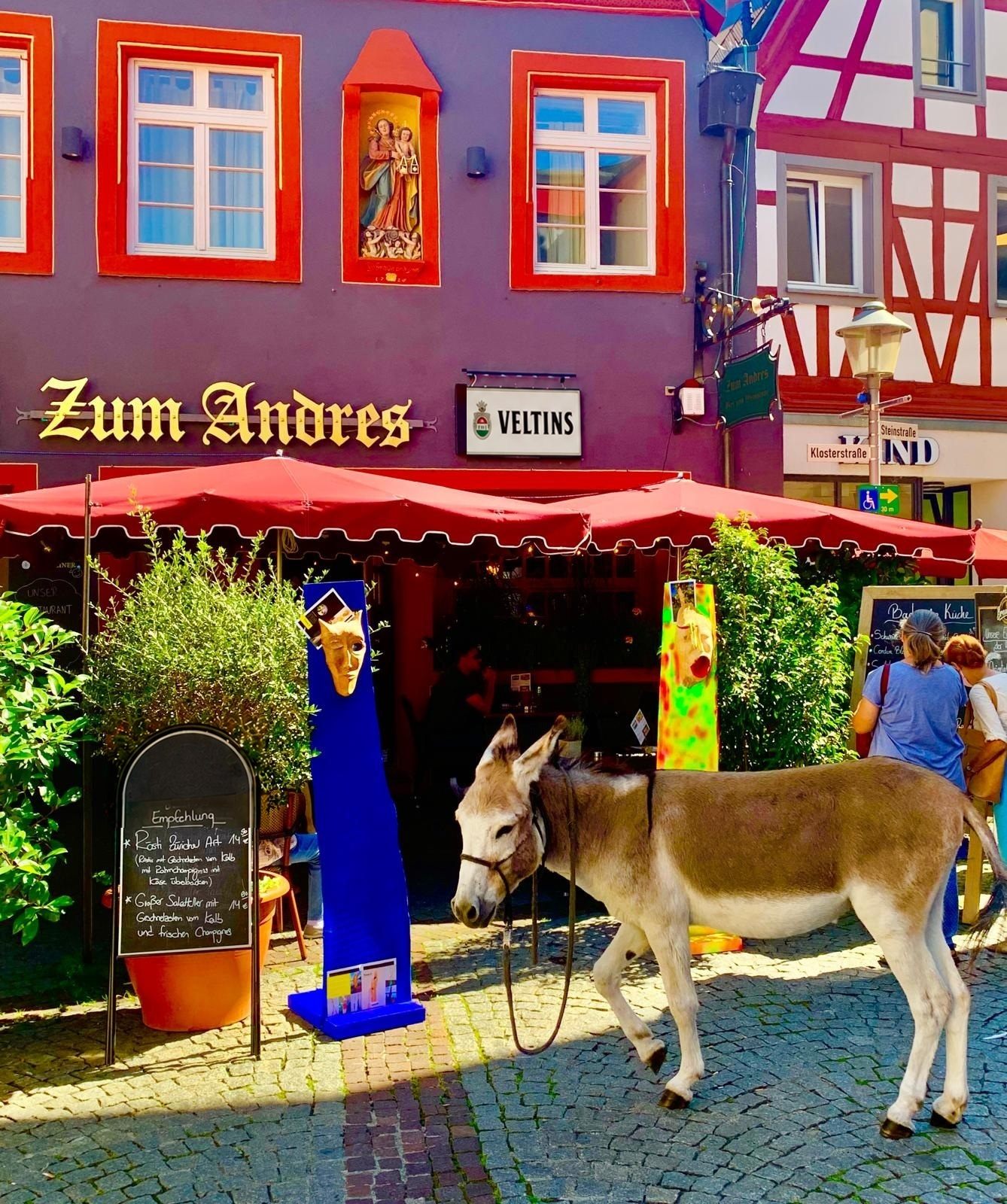 Esel vor dem Restaurant Zum Andres in der Offenburger Altstadt